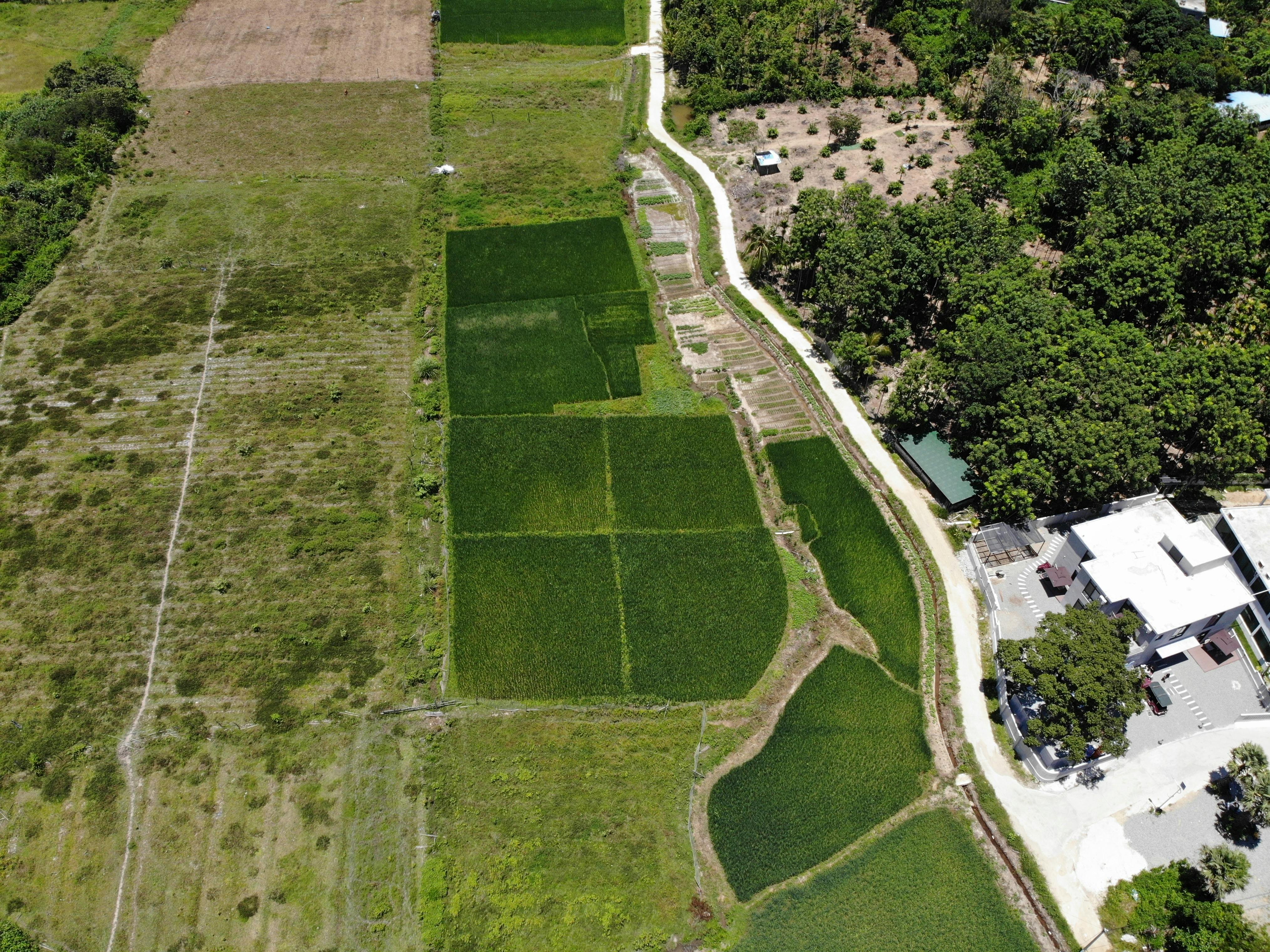 Land Plot Management